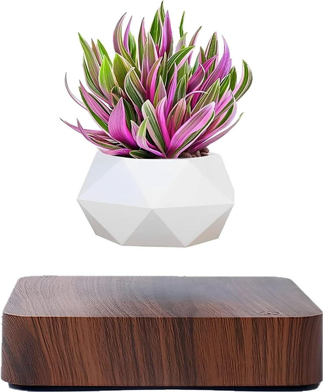 Main image of Levitating Air Bonsai Pot,Cool Stuff, Rotation Flower Pot Planters, Potted Plant Home Desk Decor in Flower Pots & Planters from Home & Garden on (Dark Color)