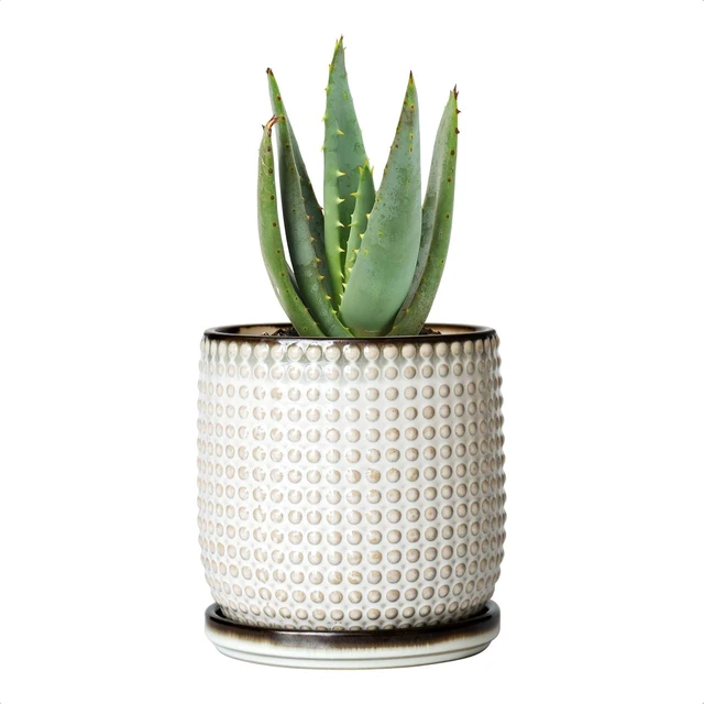 Main image of D'vine Dev Beaded Ceramic Pot with Saucer, 4 in, Smoked White, 27-C-Z-1
