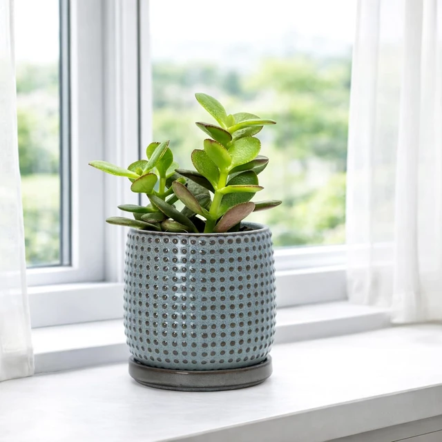 Alt view image 6 of 7 - D'vine Dev Beaded Ceramic Pot with Saucer, 4 in, Graphite Blue, 27-C-Z-9