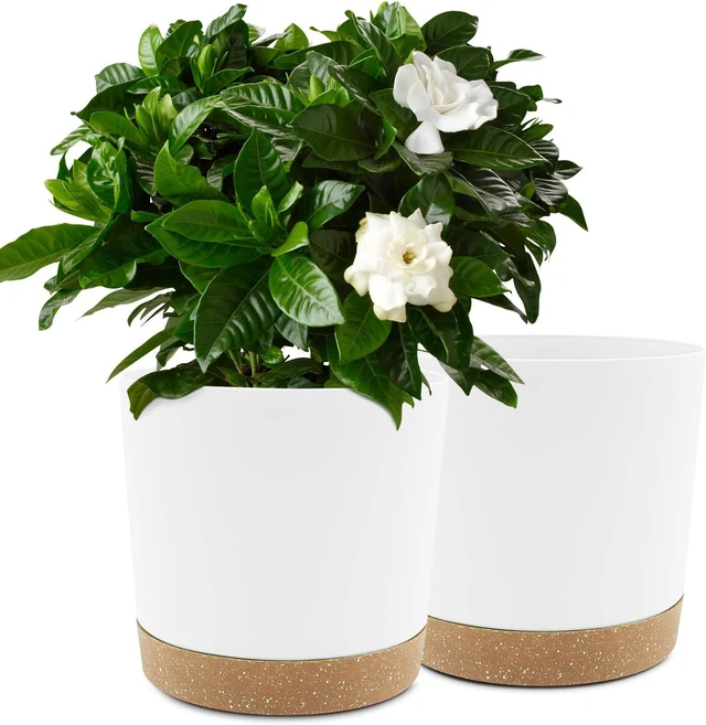 Main image of QCQHDU 10 inch Plant Pot, 2 Pack Planters for Indoor Plants with Drainage Holes & Saucer, Outdoor Flower Pots Home Garden Modern Decor