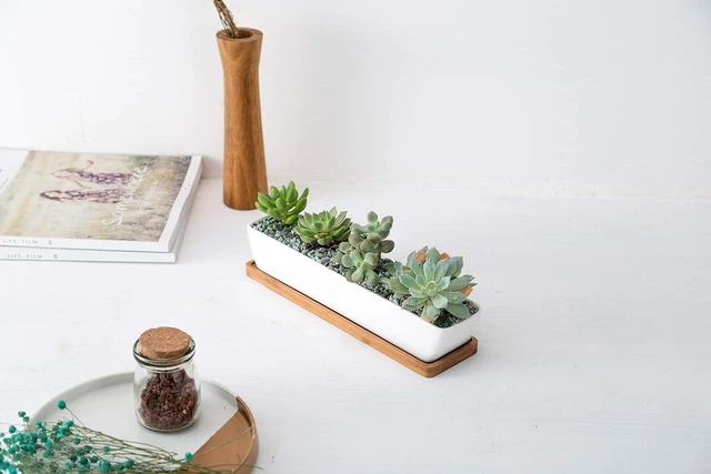 Alt view image 6 of 7 - SeaStar Long Rectangular White Ceramic Succulent Planter Pot with Bamboo Tray,Perfect for displaying Succulent Arrangements on Desk, Window sill and Office Table. Plants not Included.
