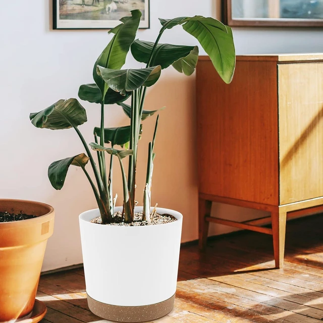 Alt view image 5 of 6 - QCQHDU 10 inch Plant Pot, 2 Pack Planters for Indoor Plants with Drainage Holes & Saucer, Outdoor Flower Pots Home Garden Modern Decor