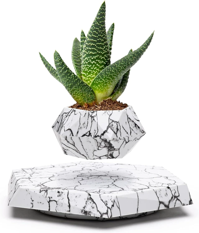 Main image of BandDlevs Floating Pots for Plants - Levitating Pot - Levitating Planter for Bonsai, Succulents, Air Plants - Floating Magnetic Display for Home Office Desks -Magnetic Levitation Plant Holder (Marble)