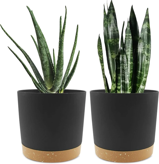 Main image of QCQHDU 8 inch Plant Pot, 2 Pack Planters for Indoor Plants with Drainage Holes & Saucer, Outdoor Flower Pots Home Garden Modern Decor