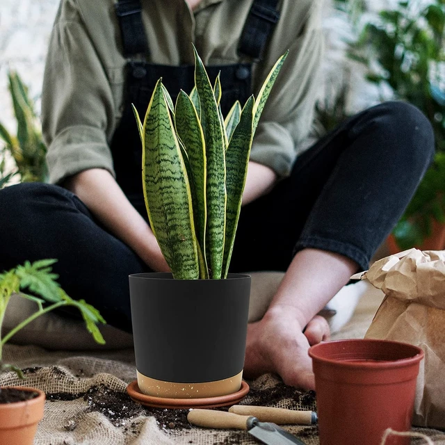 Alt view image 6 of 7 - QCQHDU 8 inch Plant Pot, 2 Pack Planters for Indoor Plants with Drainage Holes & Saucer, Outdoor Flower Pots Home Garden Modern Decor