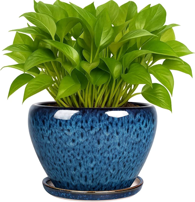 Main image of Deep Dream 6 Inch Plant Pots- Ceramic Planter Pot with Drainage Hole and Saucer, Round Flower Pot for Indoor Outdoor Succulent, Snake Plants and Cactus, Blue