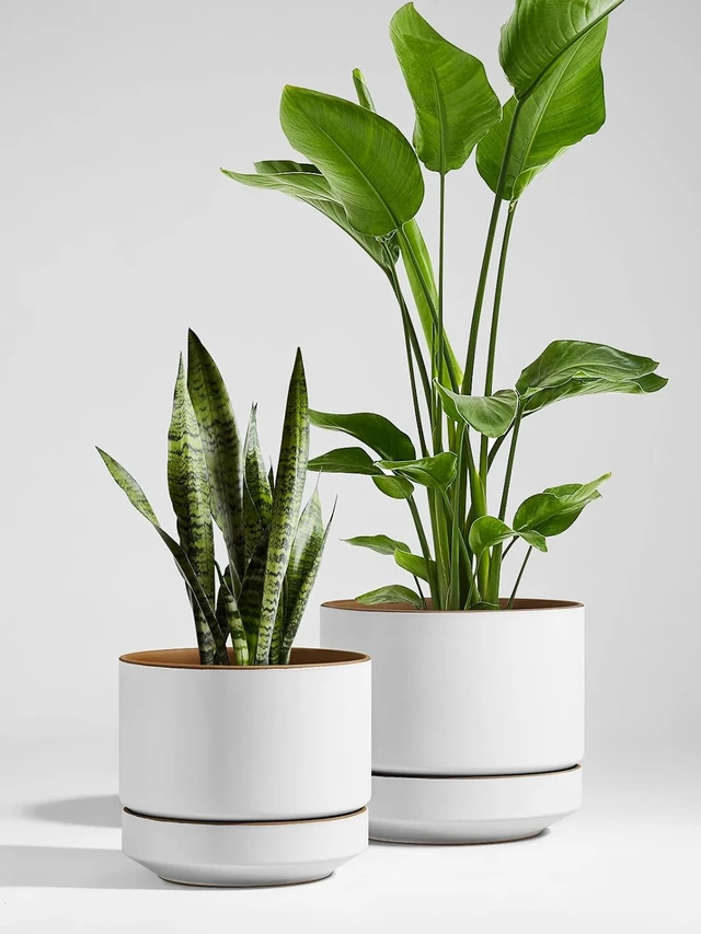 Alt view image 2 of 6 - LE TAUCI 12 Inch Pot for Plants with Saucer, Ceramic Indoor Planter Pot with Drainage Hole, Mesh Pad Included, Matte Glazed Outside, Modern for Home and Office, Alpine White & Ochre