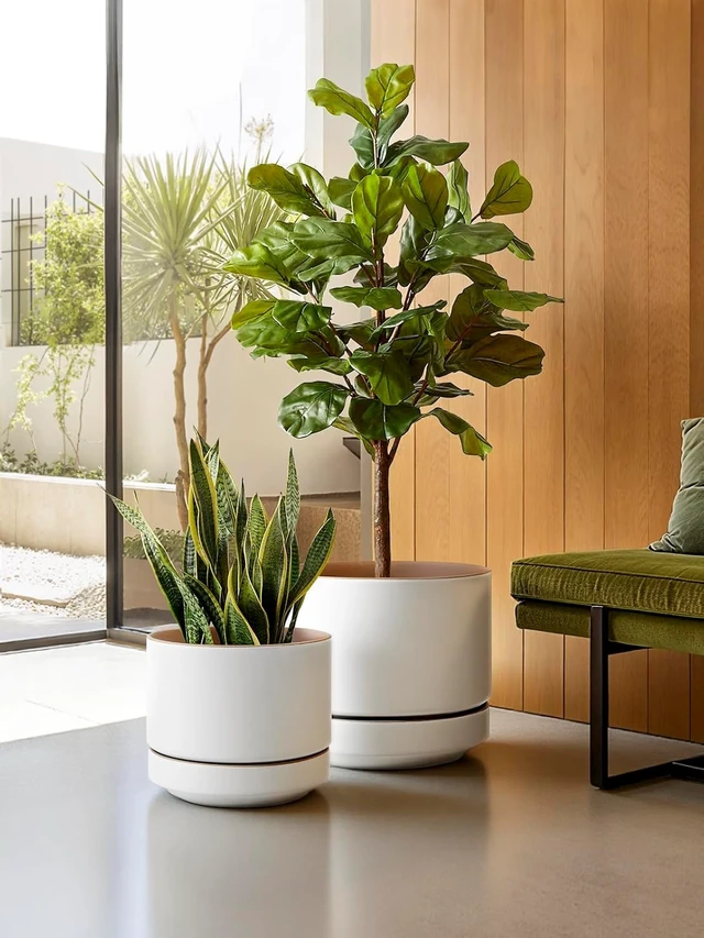 Alt view image 5 of 6 - LE TAUCI 12 Inch Pot for Plants with Saucer, Ceramic Indoor Planter Pot with Drainage Hole, Mesh Pad Included, Matte Glazed Outside, Modern for Home and Office, Alpine White & Ochre