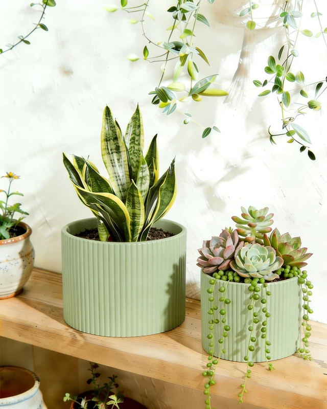 Alt view image 5 of 7 - Ceramic Plant Pots, 8.1 + 6 Inch Planters for Indoor Plants, Modern Flower Pot for Plant with Drainage, Medium Cylinder Flower Pots for Indoor/Outdoor, House Plants, Matte Green