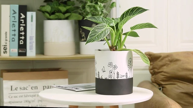 Alt view image 4 of 7 - Nihow Self Watering Pots for Indoor Plants,6 Inch,White,Hand Painting
