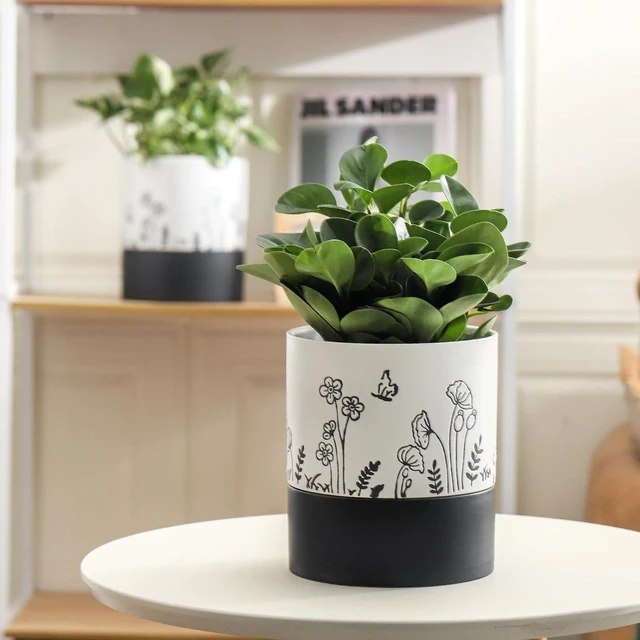 Alt view image 5 of 7 - Nihow Self Watering Pots for Indoor Plants,6 Inch,White,Hand Painting