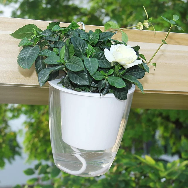 Alt view image 6 of 7 - ZOOFOX 4 Pack Self Watering Pots for Indoor Plants, 7 Inch Large Clear Plastic Automatic-Watering Plant Pot, Modern Decorative Pot for Indoor Plants, Flowers, Herb, Aloe, Orchid, African Violets