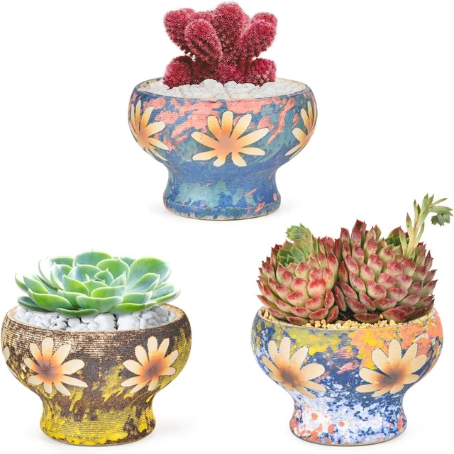 Main image of Sungmor 4in Ceramic Succulent Planters Style-g (Dia.: 4.9inch & H: 3.5inch)