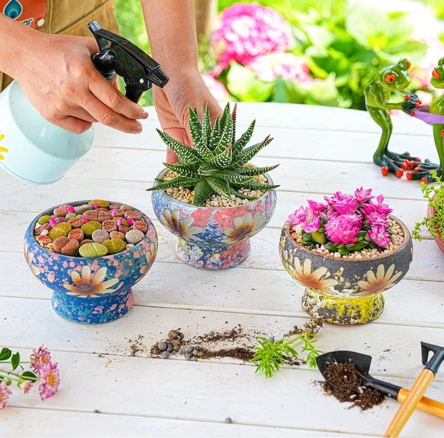 Alt view image 4 of 7 - Sungmor 4in Ceramic Succulent Planters Style-g (Dia.: 4.9inch & H: 3.5inch)