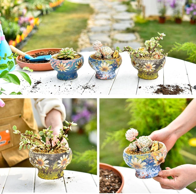 Alt view image 7 of 7 - Sungmor 4in Ceramic Succulent Planters Style-g (Dia.: 4.9inch & H: 3.5inch)
