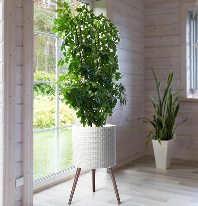 Alt view image 5 of 6 - D'vine Dev Planter Pot with Wood Stand, 16 in, Matte White, 88-Z-E-1
