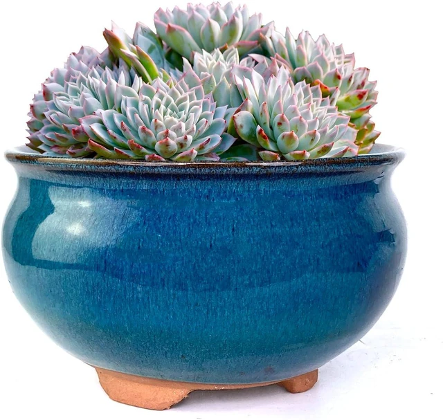 Main image of 8 Inch Succulent Pot with Drainage and Saucer Glazed Terracotta Round Ceramic Succulent Planter Cactus Bonsai Plant Pot (Dark Green)