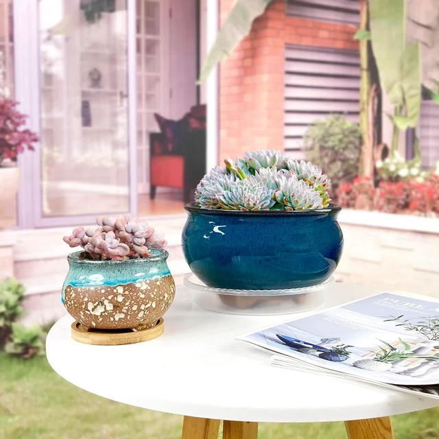Alt view image 4 of 7 - 8 Inch Succulent Pot with Drainage and Saucer Glazed Terracotta Round Ceramic Succulent Planter Cactus Bonsai Plant Pot (Dark Green)