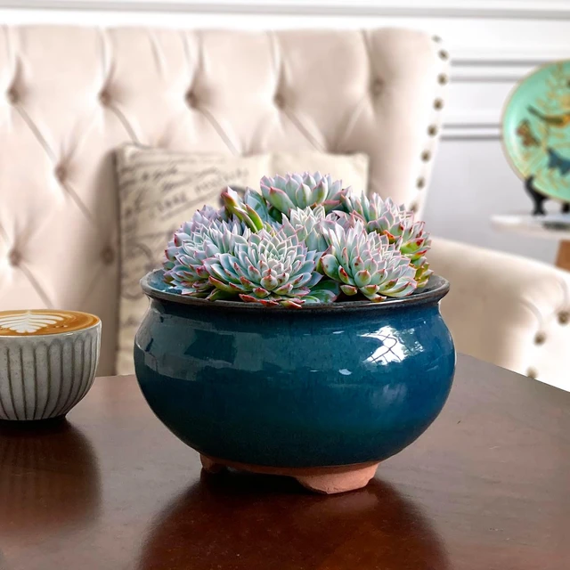 Alt view image 6 of 7 - 8 Inch Succulent Pot with Drainage and Saucer Glazed Terracotta Round Ceramic Succulent Planter Cactus Bonsai Plant Pot (Dark Green)
