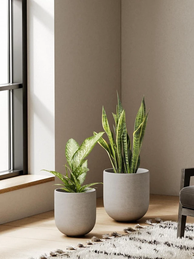 Alt view image 6 of 6 - LE TAUCI 6, 8 & 10 Inch Ceramic Planter Set for Indoor Plants, Neutral Gray