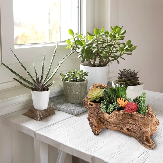 Alt view image 4 of 5 - Tebery Artificial Driftwood Stump Log Planter Vintage Cactus Container with Drainage Hole, Creative Imitation Sculpture Resin Succulent Flower Pot for Herb, Strawberry, Small Plants