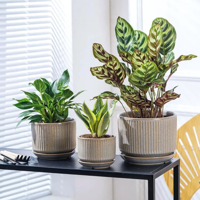 Alt view image 7 of 7 - Ceramic Plant Pots Set of 3, 4.3+5.5+6.8 Inch Indoor Outdoor Planters with Drainage Hole and Saucer, Ceramic Flower Pots for Indoor Plants, Home, Garden, Patio and Office, Matte Grey