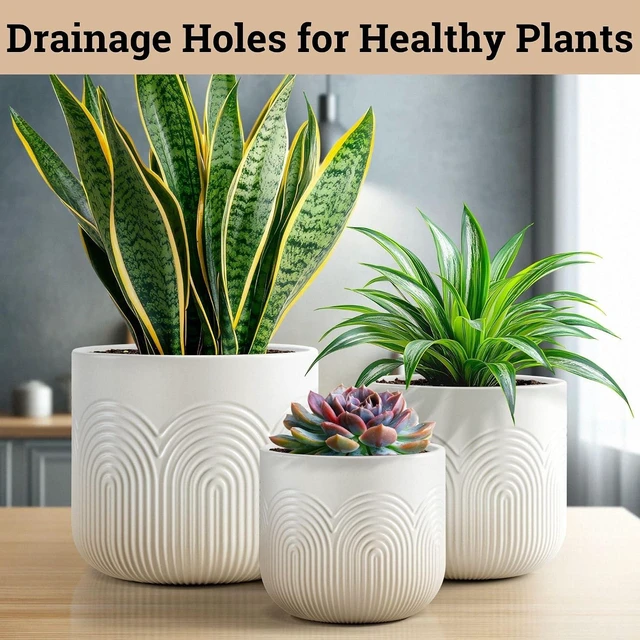 Alt view image 4 of 6 - Ceramic Pots for Plants Set of 3, 6, 5, 4 Inch Diameter with Drainage Holes