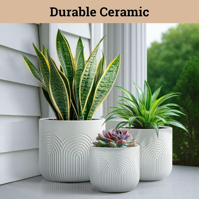 Alt view image 5 of 6 - Ceramic Pots for Plants Set of 3, 6, 5, 4 Inch Diameter with Drainage Holes