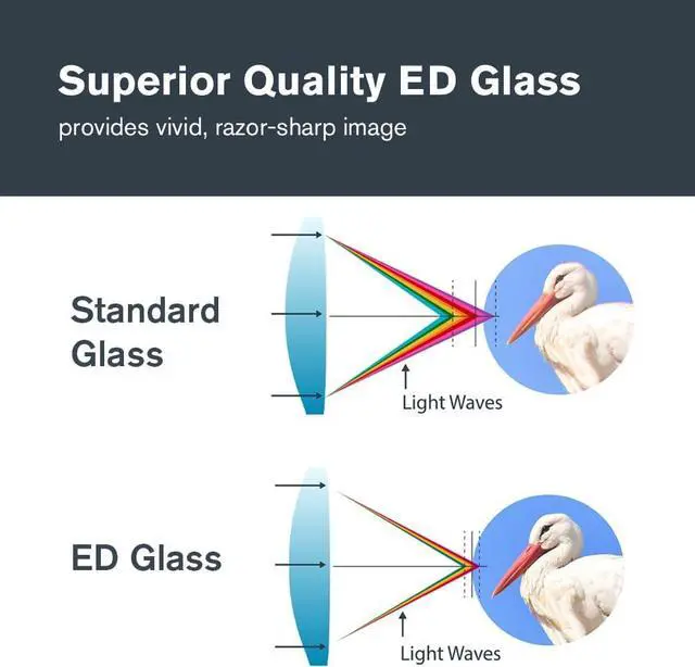 Alt view image 3 of 7 - Celestron Nature DX ED 8x42 Premium Waterproof Birding Binoculars | ED Glass for True-to-Life Color, Fully Multi-Coated Optics & Phase Coated BaK-4 Prism, Sharp Edge-to-Edge Views, Waterproof
