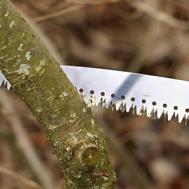 Alt view image 7 of 7 - 10FT Pole Saw for Tree Trimming 2-in-1 Hand Saw Steel Blade Tree Pruner | Adjustable Extension Pole with Triple Ground Tooth Blade and Dual Hooks for Cutting Branches in Yard Garden Patio