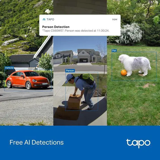 Alt view image 4 of 7 - Tapo 4K 8MP Wired Pan/Tilt Outdoor Security Camera, Free Person/Vehicle Detect & 360° View, Color Night, Local AI, SD/Cloud Storage, Works w/Alexa & Google Assistant, 2.4 GHz WiFi C560WS