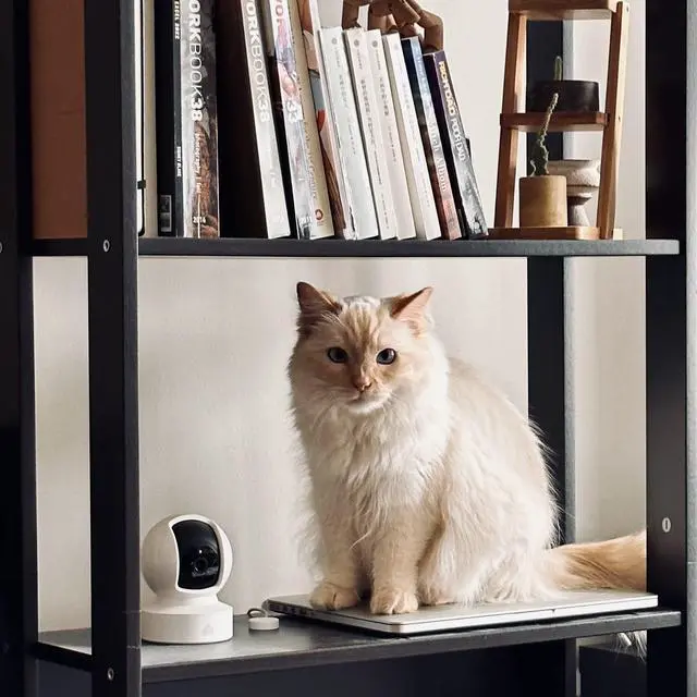 Alt view image 6 of 6 - Kasa 1080p Indoor Pan/Tilt Wired Security Camera - Works as a Baby & Pet Monitor, Motion Detection & Tracking, 2-Way Audio, Night Vision, Subscription-Free Local Storage or Optional Cloud, EC70
