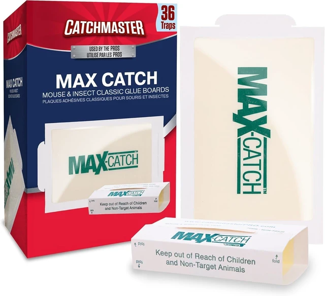 Main image of Catchmaster Max-Catch Glue Traps 36pk, Sticky Mouse Traps Indoor for Home