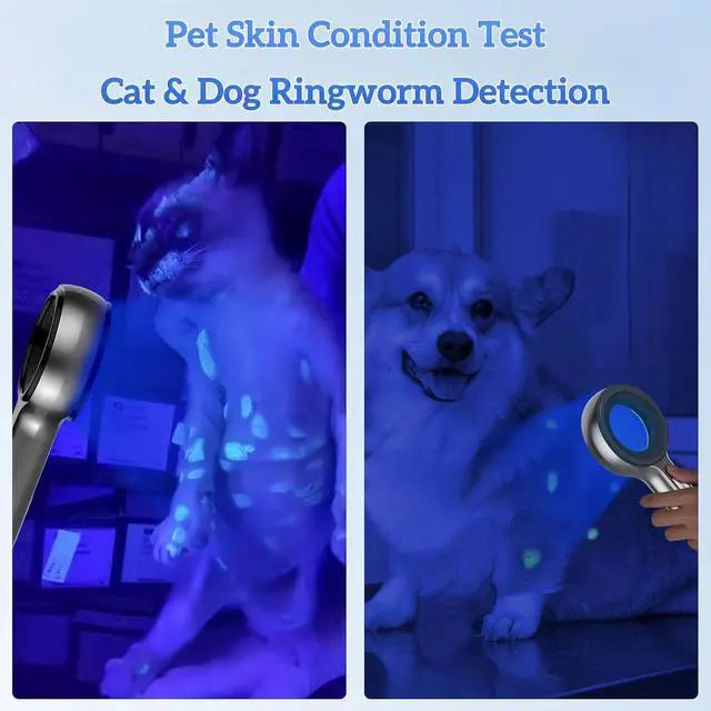 Alt view image 3 of 6 - Woods Lamp Skin Analyzer, Easy to Hold and Carry Around, Woods Lamp Cat Ringworm, Detect All Kinds of Skin Conditions, No Special Training Required (2000 mAh Rechargeable Battery)