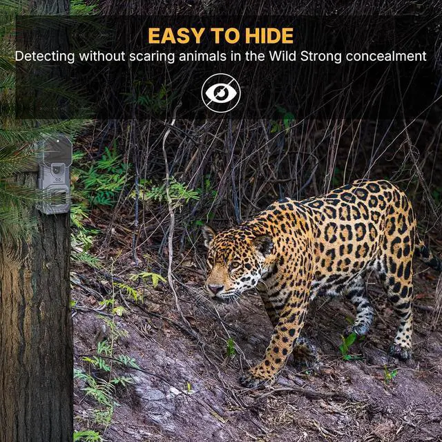 Alt view image 7 of 7 - Mini Trail Camera 6 Pack 32MP 1080P HD Deer Camera with 32GB SD Card Game Cameras with Night Vision Motion Activated Waterproof with Card Reader