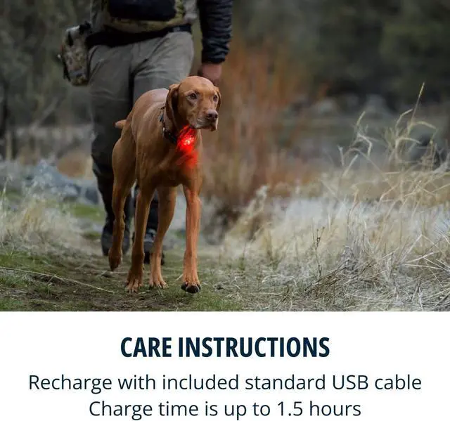 Alt view image 4 of 7 - , Beacon Safety Light for Dogs, Rechargeable, Clear Lake | Durable & Waterproof, High Performance Safety Light Visible in Low-Light Conditions or Inclement Weather, 3 LED Color Options