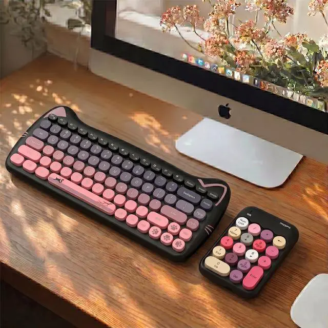 Alt view image 3 of 7 - Cute Wireless Number Keypad with 2.4G USB Receiver, 18 Colorful Round Keys Numpad, Portable Financial Accounting Numeric Keyboard, Suitable for PC, Laptop (Black)