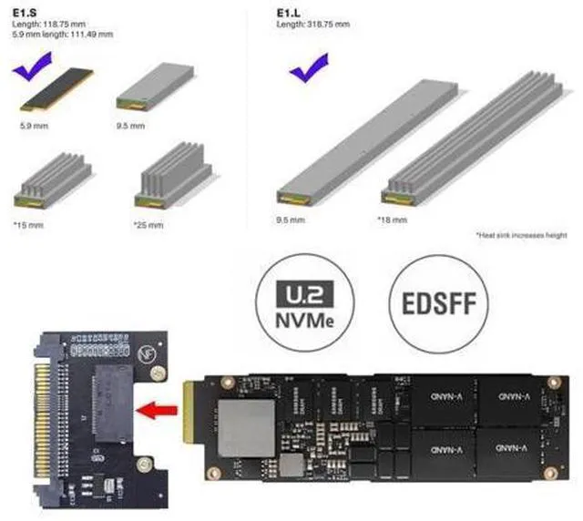 Alt view image 2 of 7 - HKCY U.2 SFF-8639 Host Adapter to NVMe Ruler 1U GEN-Z EDSFF Short SSD P4511 E1.S Carrier Adapter