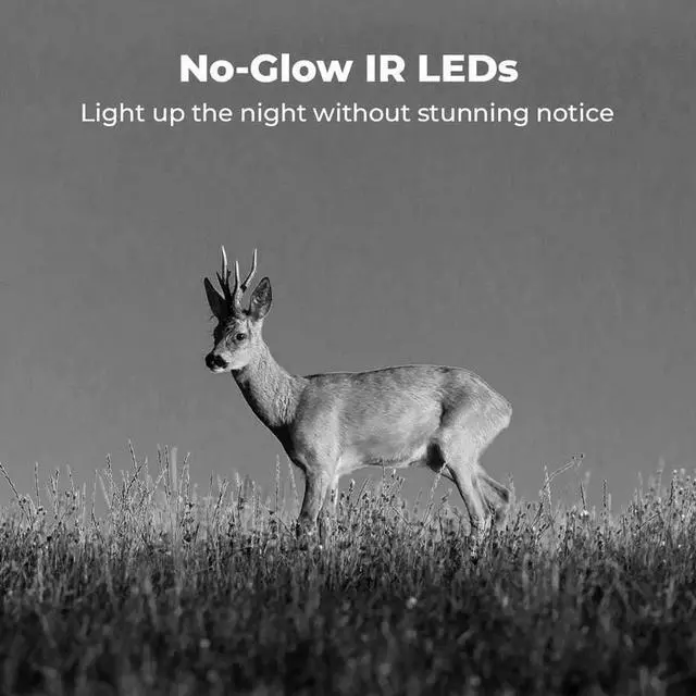 Alt view image 10 of 14 - Reolink 4G Battery Security Camera with Solar Panel 2 Cellular Trail Camera Wireless, 3G/4G LTE, Solar Powered Camera with 360° Pan Tilt, 2K Night Vision, Smart Motion Activated, No-Glow IR, No WiFi