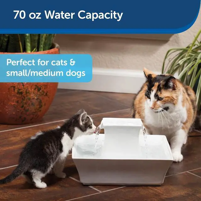 Alt view image 3 of 7 - PetSafe Drinkwell Pagoda Fountain - 70 oz Ceramic, White - Filters Incl. | 2 Free-Falling Water Streams Encourage Hydration, Open Bowl Design, Replaceable Carbon & Foam Filters