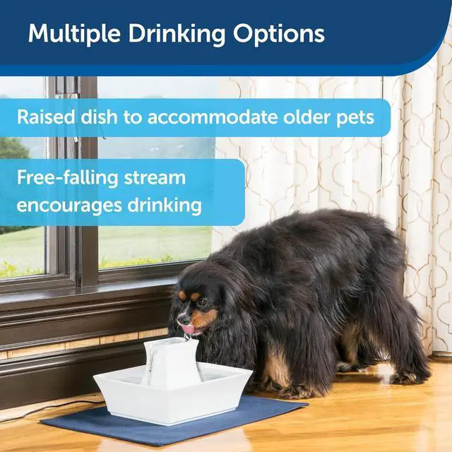 Alt view image 5 of 7 - PetSafe Drinkwell Pagoda Fountain - 70 oz Ceramic, White - Filters Incl. | 2 Free-Falling Water Streams Encourage Hydration, Open Bowl Design, Replaceable Carbon & Foam Filters