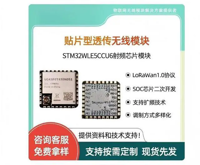 Main image of LoRaWAN node module STM32WLE5CCU6, low-power long-range SX1262 RF module, meter, supply chain and logistics, building auto