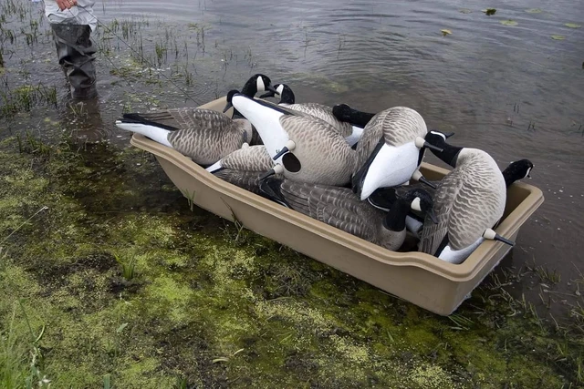 Alt view image 3 of 3 - Sport Sled
