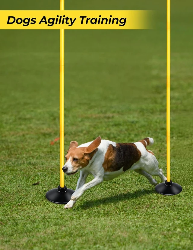 Alt view image 6 of 7 - 6ft Detachable Soccer Agility Poles Set, 4/6/10 Pcs Slalom Speed Poles with Rubber Base Training Equipment for Football, Rugby, Basketball, Indoor & Outdoor