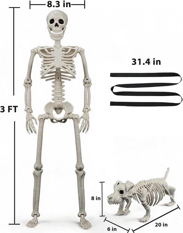 Alt view image 4 of 6 - Human & Dog Skeleton Halloween Decorations for Indoor/Outdoor