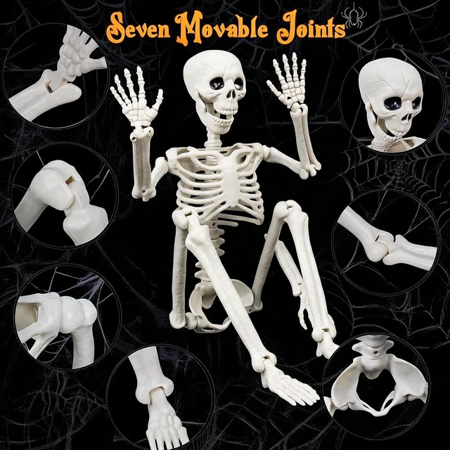 Alt view image 6 of 6 - Human & Dog Skeleton Halloween Decorations for Indoor/Outdoor