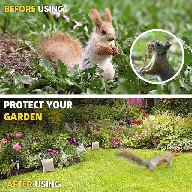 Alt view image 4 of 7 - 12 Pouches Outdoor Squirrel & Chipmunk Repellent