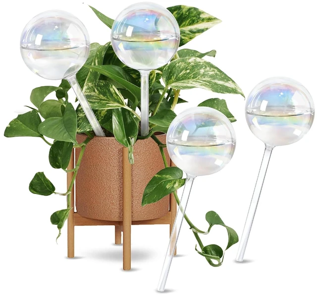 Main image of 13oz Large Glass Self-Watering Globes Automatic Plant Waterer, Up to 2 Weeks