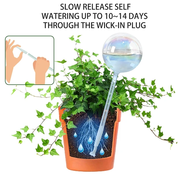 Alt view image 2 of 7 - 13oz Large Glass Self-Watering Globes Automatic Plant Waterer, Up to 2 Weeks