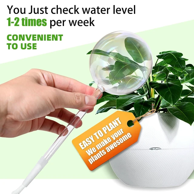 Alt view image 6 of 7 - 13oz Large Glass Self-Watering Globes Automatic Plant Waterer, Up to 2 Weeks